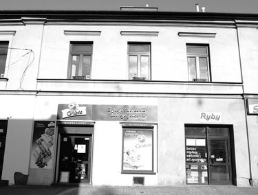 Zdjęcie 15476564
