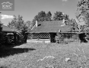 Zdjęcie 15476647