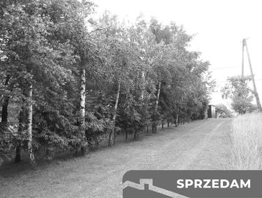 Zdjęcie 15476769
