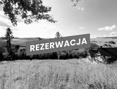Zdjęcie 15476828