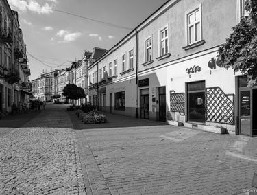 Zdjęcie 15476866