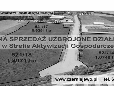 Zdjęcie 15477061