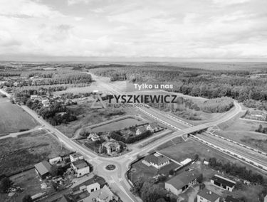 Zdjęcie 15477294