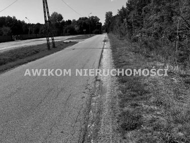 Zdjęcie 15477712