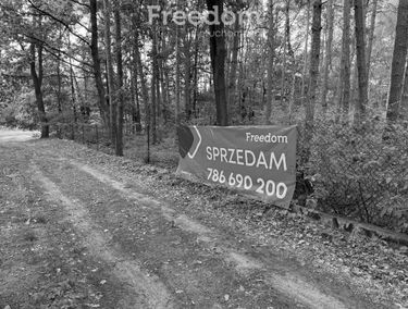 Zdjęcie 15478121