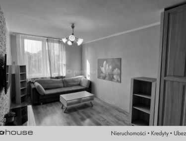 Zdjęcie 15478215