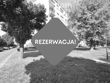 Zdjęcie 15478248