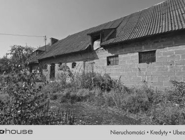 Zdjęcie 15478492