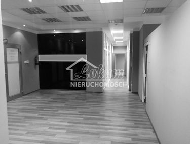 Zdjęcie 15478604