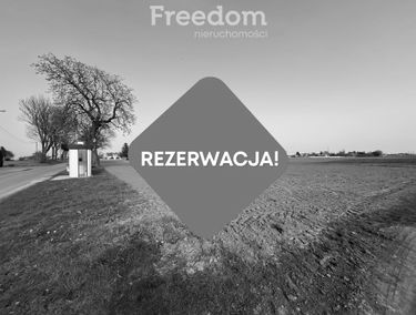 Zdjęcie 15478740