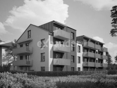 Zdjęcie 15479059
