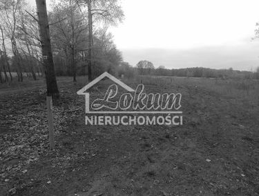 Zdjęcie 15479572
