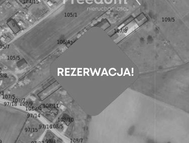 Zdjęcie 15479697