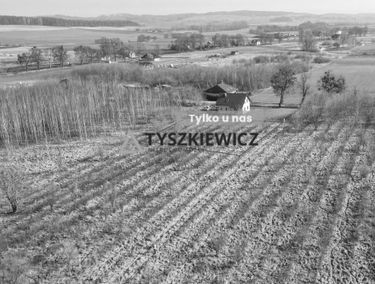 Zdjęcie 15479774