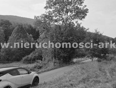 Zdjęcie 15479864