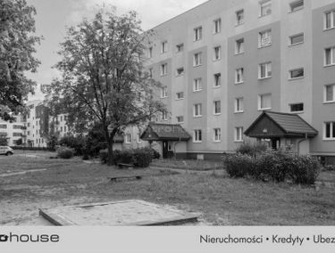 Zdjęcie 15480238