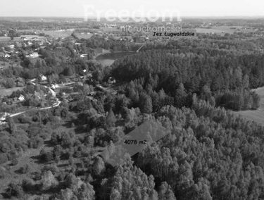 Zdjęcie 15480643