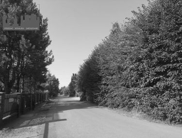 Zdjęcie 15480721