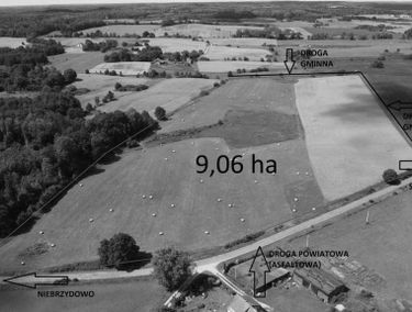 Zdjęcie 15480924