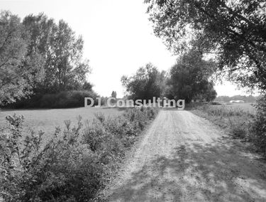 Zdjęcie 15482071