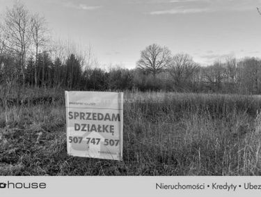 Zdjęcie 15482118