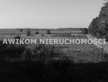 Zdjęcie 15482121