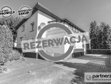 Zdjęcie 15482616