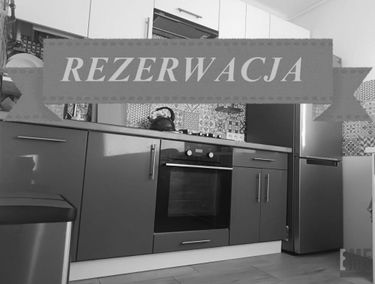 Zdjęcie 15482713