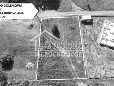 Zdjęcie 15482746