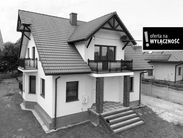Zdjęcie 15482901