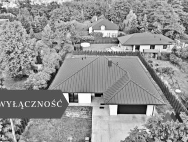 Zdjęcie 15483190
