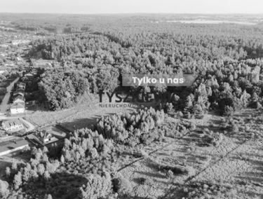 Zdjęcie 15484021