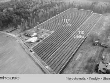 Zdjęcie 15484835