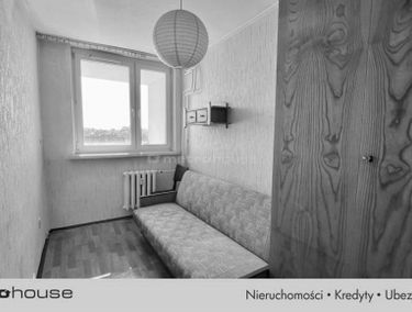 Zdjęcie 15484978