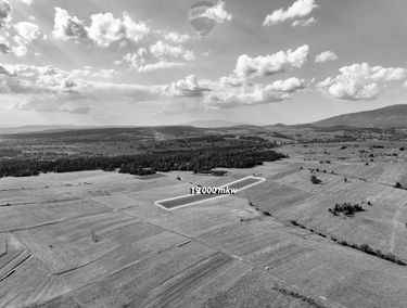 Zdjęcie 15485311
