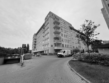 Zdjęcie 15485993