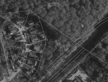 Zdjęcie 15486188