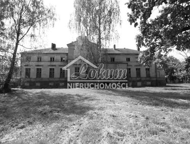 Zdjęcie 15487439