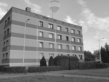 Zdjęcie 15489931