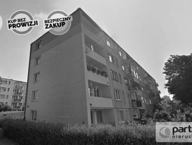 Zdjęcie 15490349