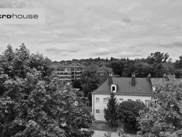 Zdjęcie 15490614