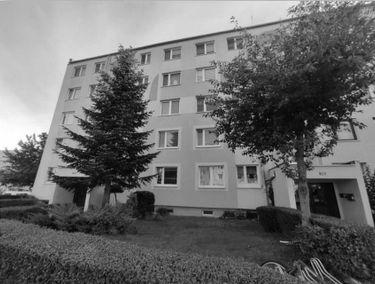 Zdjęcie 15491978