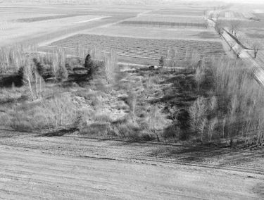 Zdjęcie 15492488
