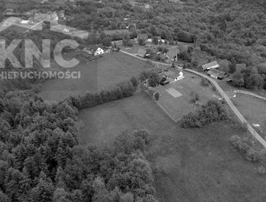 Zdjęcie 15492588
