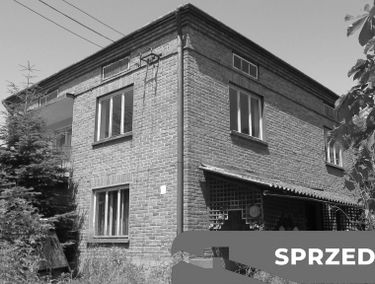 Zdjęcie 15492682