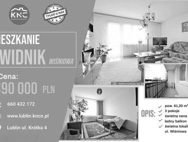 Zdjęcie 15492799