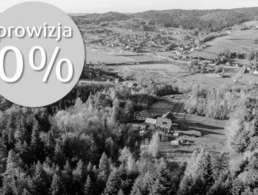 Zdjęcie 15492869