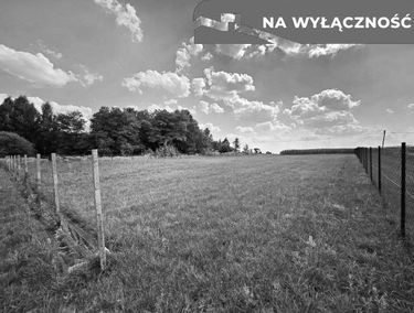 Zdjęcie 15492976