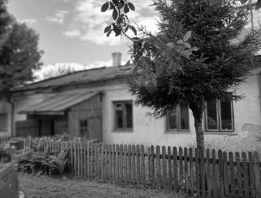 Zdjęcie 15493176