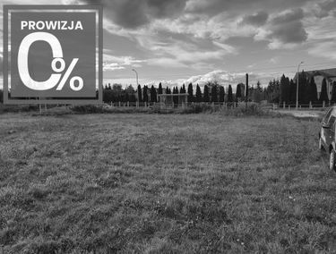 Zdjęcie 15493327